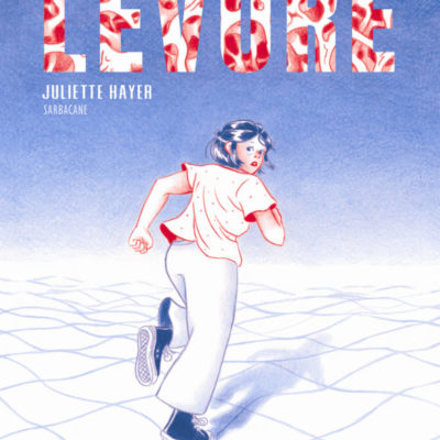 Extrait BD Michel Plessix